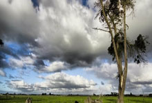 天津泰达实现突破进展，表现抢眼