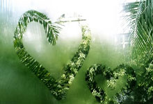 里昂客场大胜，连续取得两连胜