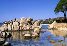 天津泰达实现突破进展，表现抢眼